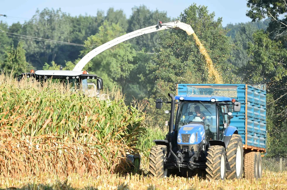 A farmer harvests a corn field with a silage-cutter in northwestern France.