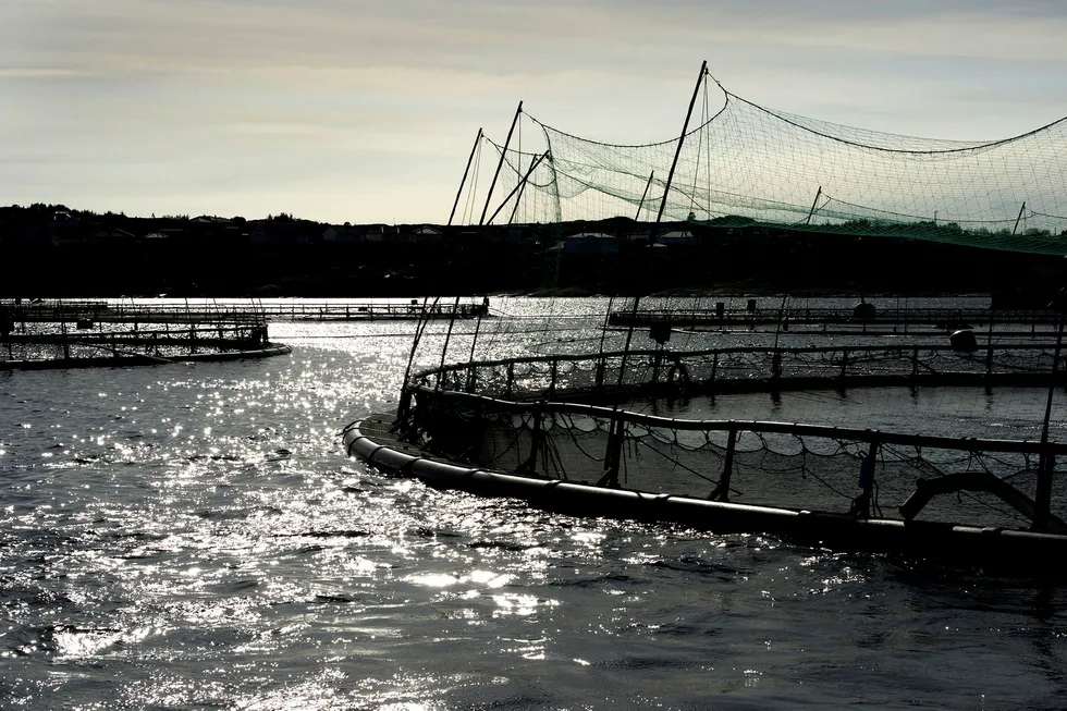 Lerøy er blant de 25 aktørene som er med på søksmålet. Her fra et av deres anlegg. Illustrasjonsfoto.