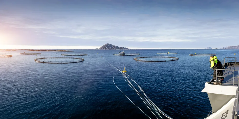 Bildet vise Norcod sin lokalitet Frosvika i Meløy kommune.