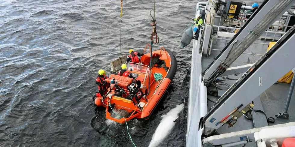 Hvalen, sammen med en 750 kilo tung betongkloss, dumpes her i det som skal vise seg å være et viktig trålfelt for rekefiskerne i området. Foto: Kystvakten