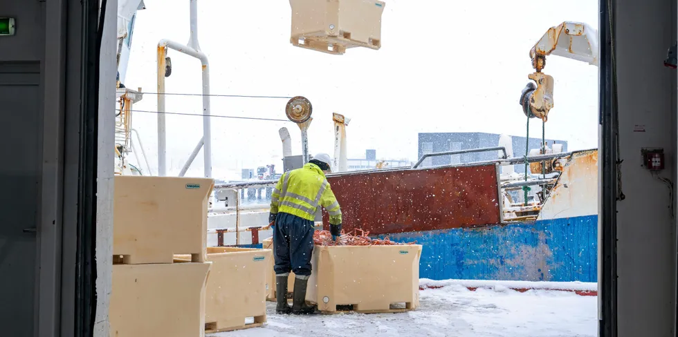 Her losser «Askøybas» levende snøkrabbe hos Seafood gourmet Norway i Båtsfjord.