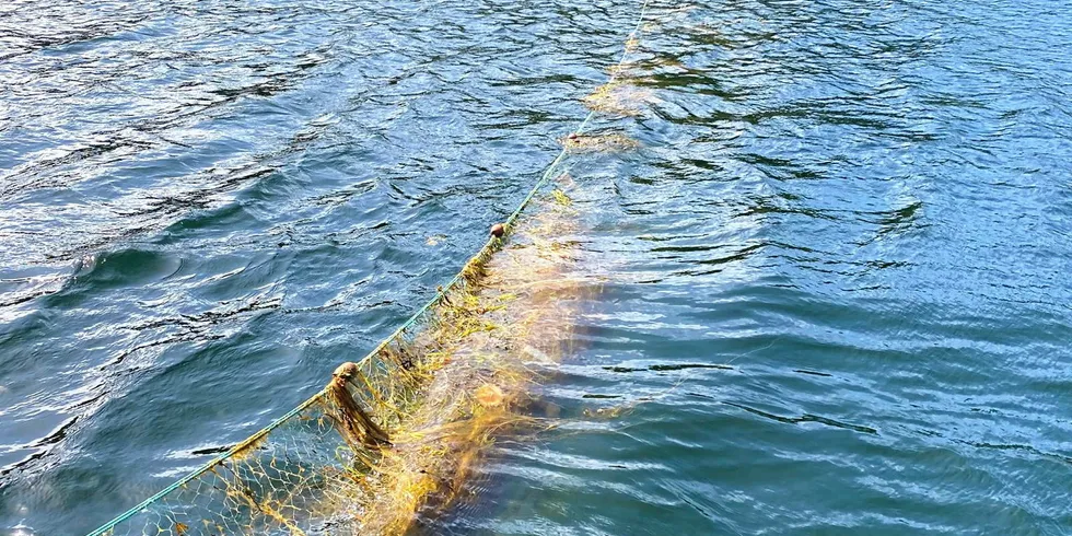 Ulovlig flytegarn ble beslaglagt ved Austevoll.