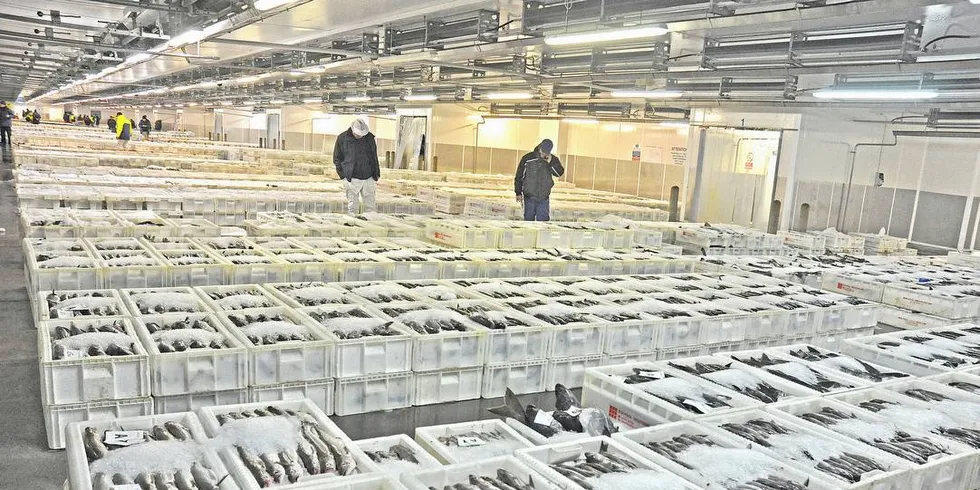 MSC: Miljøsertifiseringene oppdateres stadig. Det bekymrer norske fiskere. Her fra et fiskemarked i Peterhead i Skottland med MSC-godkjent fisk.