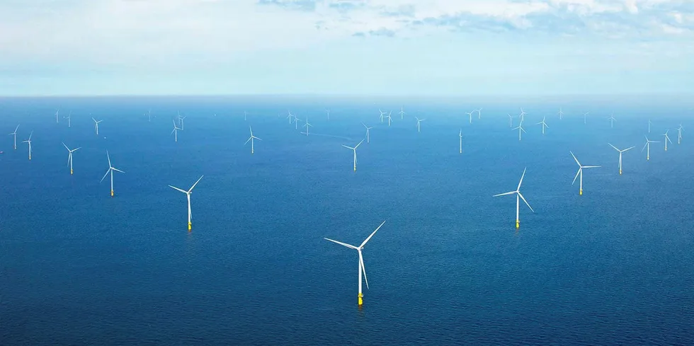 Ørsted og Yara vil bruke energi fra Borsele 1 og 2 til å produsere grønn ammoniakk i Nederland.