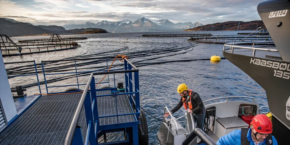 Her et glimt fra Lerøy Aurora sitt anlegg i Kågen ved Skjervøy i Nord-Troms.