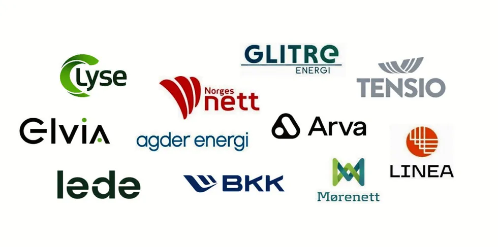 De største nettselskapene har gått sammen i et innspill til regjeringen om hvordan få fart på elektrifiseringen.