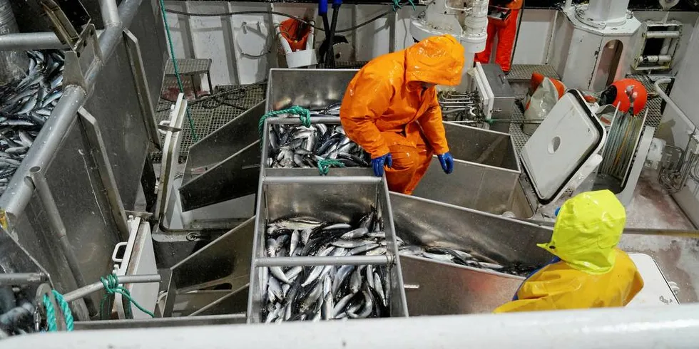 GODE MARGINER: Driftsmarginen i fiskeflåten svinger, men den underliggende trenden har vært stigende i over 30 år.Ill.foto: Kystvakten/Fiskeridirektoratet