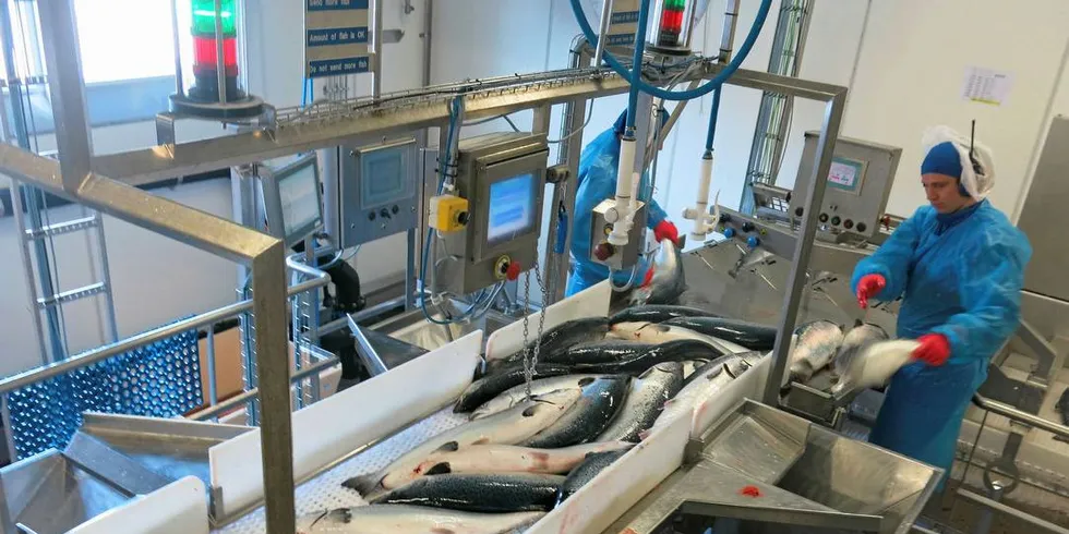 STØTTER KYSTKOMMUNENE: Nordland fylkeskommunene støtter kystkommunens kamp for at lakseoppdretterne betaler kommunene en produksjonsavgift for bruk av kommunenes sjøareal.Illfoto: Agnar Berg