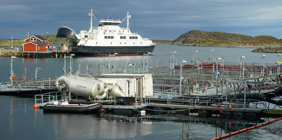 Ferga er livsnerven til Lovund. Ventemærer i forgrunnen. Slakteriet har en kapasitet på 350 tonn fersk laks og 40 tonn filet per dag.