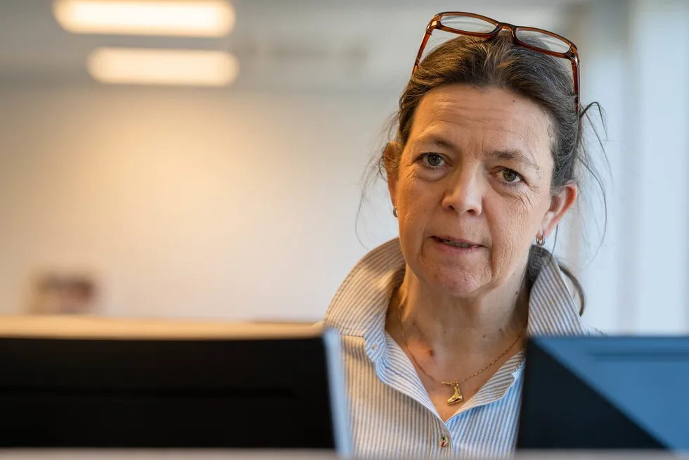 Leder i Samfunnsbedriftene Energi, Mona Adolfsen, sier at nettselskapene ikke kan legge til rette for en ordning der detaljene fortsatt ikke er avklart.
