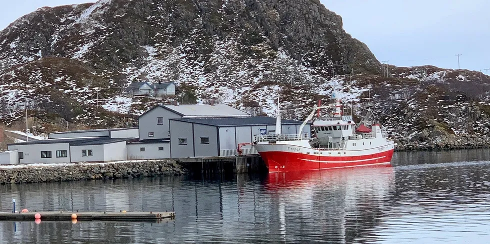 Lerøy Norway Seafoods mottak i Skårvågen i Bø kommune i Vesterålen