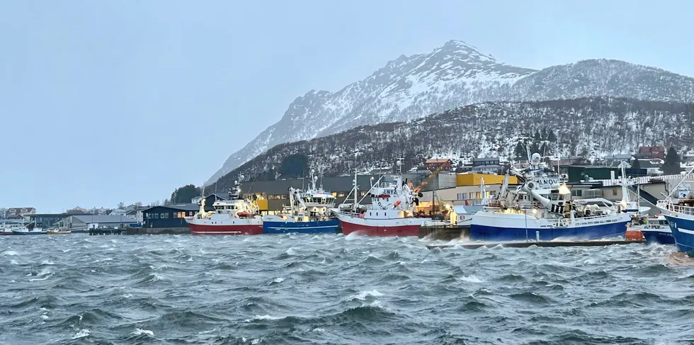 Det er meldt sterk storm fra sørvest, til dels orkan i Lofoten og Vesterålen, mandag. Da Fiskeribladet var innom Myre havn i 11-tida var det god kok i havna, men det verste været hadde ikke slått til enda.