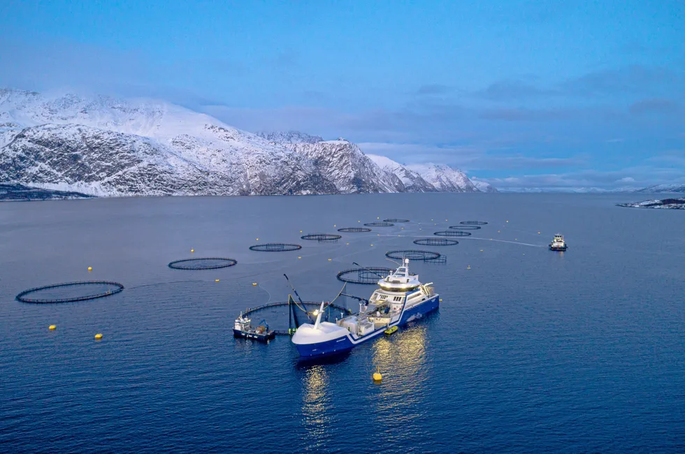 Oppdrettsselskapenes driftskostnader knyttet til sjøfasen steg kraftig det første året med grunnrenteskatt på havbruk, ifølge Fiskeridirektoratet. Her oppdrettsanlegget Lerøy Årøya i Lyngenfjorden.