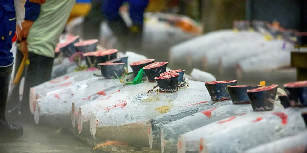 Frozen tuna at Japan's Tsukiji market.