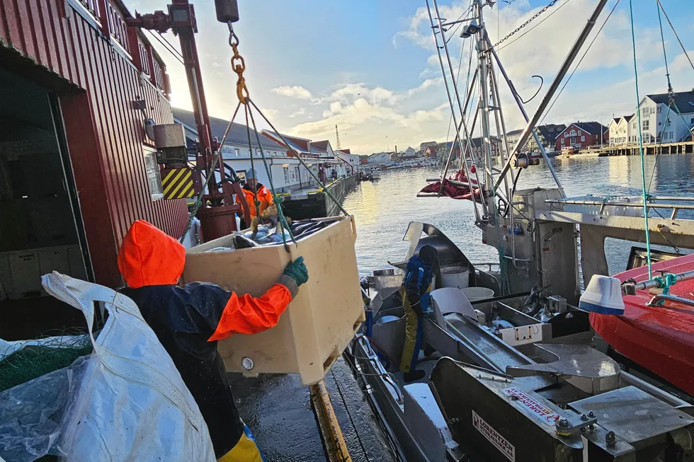 Hold igjen på fisk til EU, mener Sp-politiker Geir A. Iversen.