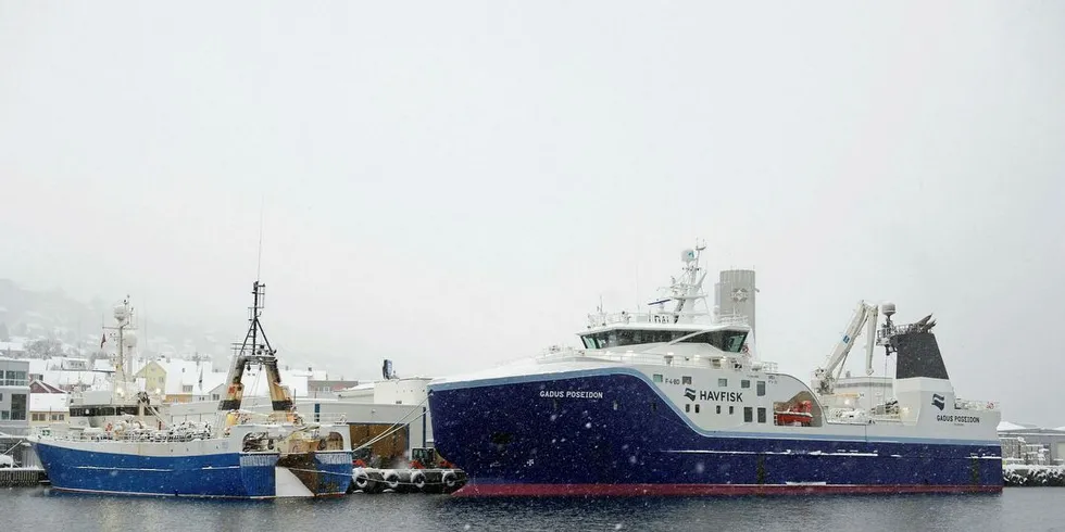 Hjemfall av kvotene er en absolutt betingelse for å gjenreise finnmarkskysten og fiskerisamfunnene, mener Jan Olsen. Illustrasjonsfoto: Ingun A. Mæhlum/DN
