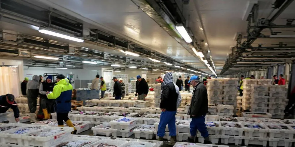 NYTT SYSTEM: Salslaga føreslår endring i omsetningssystemet for fryst kvitfisk. Her er kvitfisk på auksjon på fiskemarknad i Peterhead.Foto: Nils Torsvik