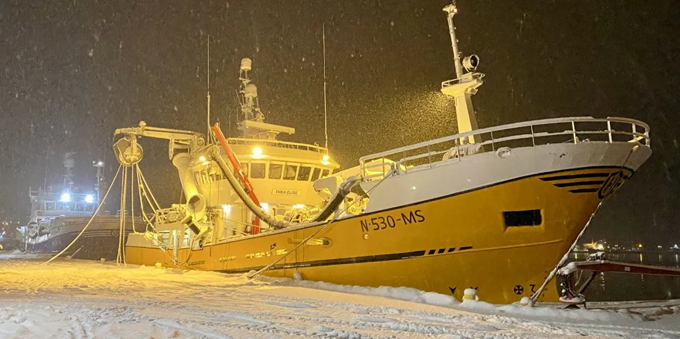 «Thea Elise» fikk topp pris for rognmoden NVG-sild fra Pleagia Liavåg.