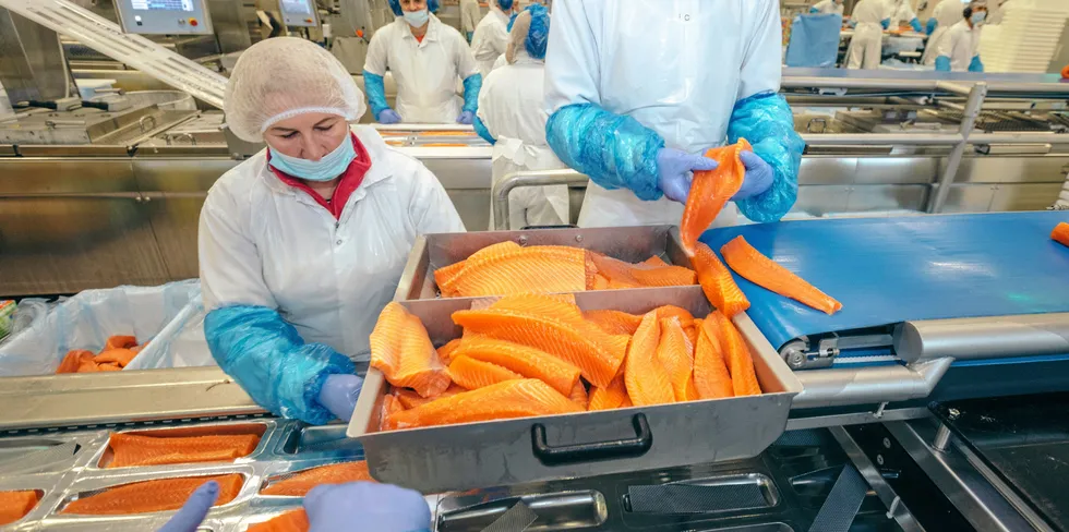 For Bremnes Seashore er melaninflekker i fiskefilet en utfordring - det vil forbrukerne ikke ha.