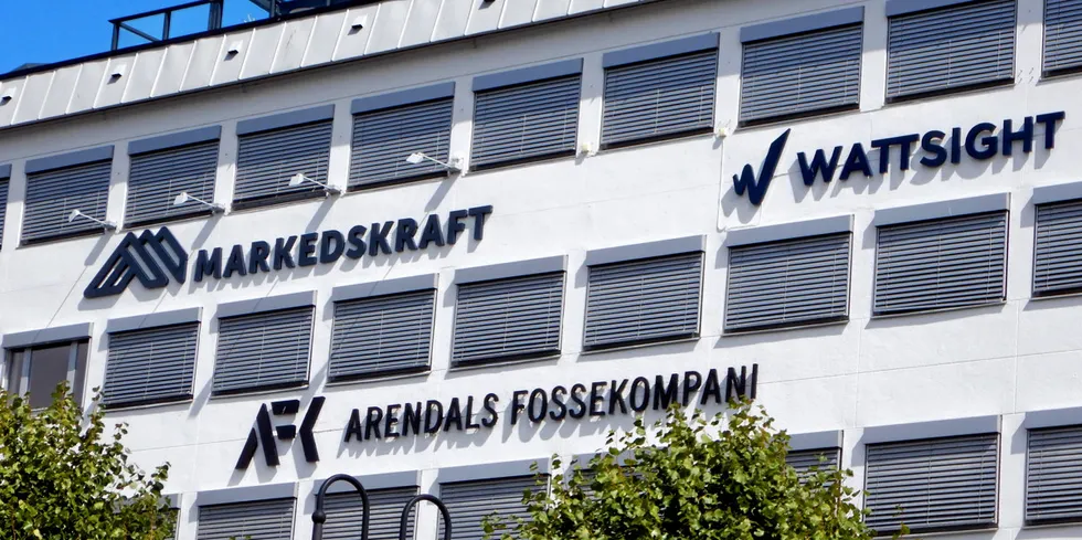Tre av de ni rapporterte selskapene i årsrapporten fra Arendals Fossekompani viser positiv bunnlinje for 2022. Samlet for gruppen er det også et bedre resultat før skatt, men siden skatten overstiger resultatet, viser rapporten et underskudd etter skatt for 2022.