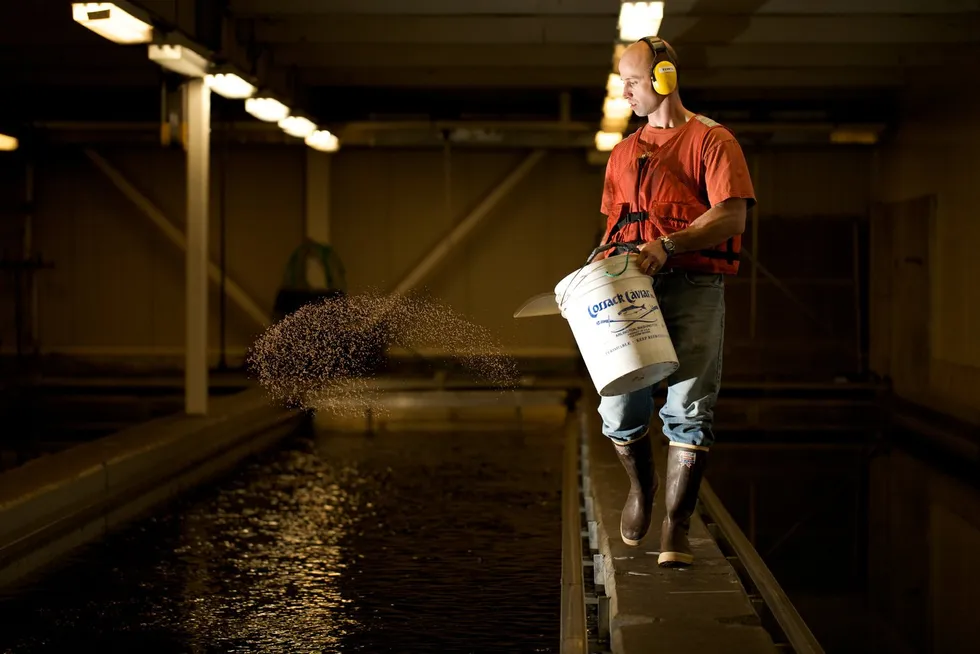 Alaska salmon hatcheries have come out against a proposal to reduce their capacity.