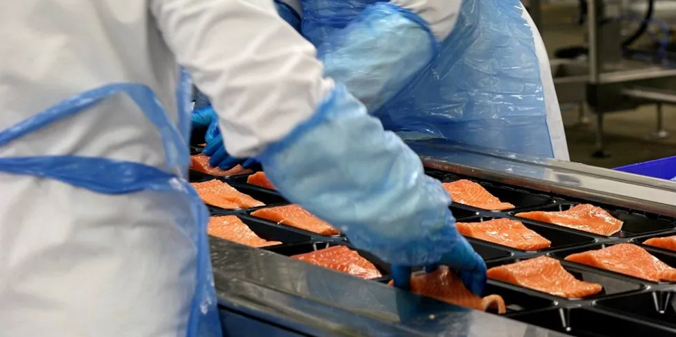 Land-based salmon promises further diversification for Grimsby's processors.