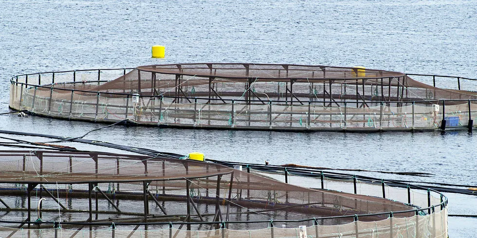 Beginning 2022 BC salmon farmers will need First Nations approval before they can renew their farm leases.