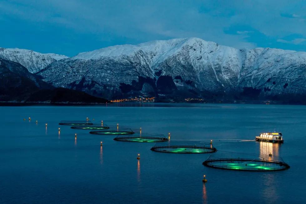 Lingalaks har produksjon i PO3, fra Karmøy til Sotra, som i 2024 hadde en nedgang i antall dødfisk på 40 prosent sammenliknet med 2023, ifølge tall fra Fiskeridirektoratet. Her fra en av selskapets lokaliteter i Hardanger.