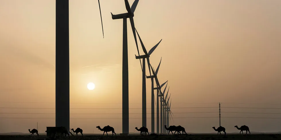 The 300MW Tarfaya wind farm in Morocco.