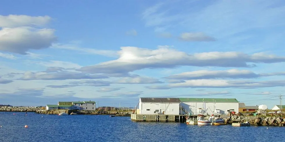 AVHENDES: Vestresand i Vestvågøy er én av de statlige fiskerihavnene som Kystverket og Fiskeridirektoratet nå vurderer om kan avhendes. Foto: Willy Hauge