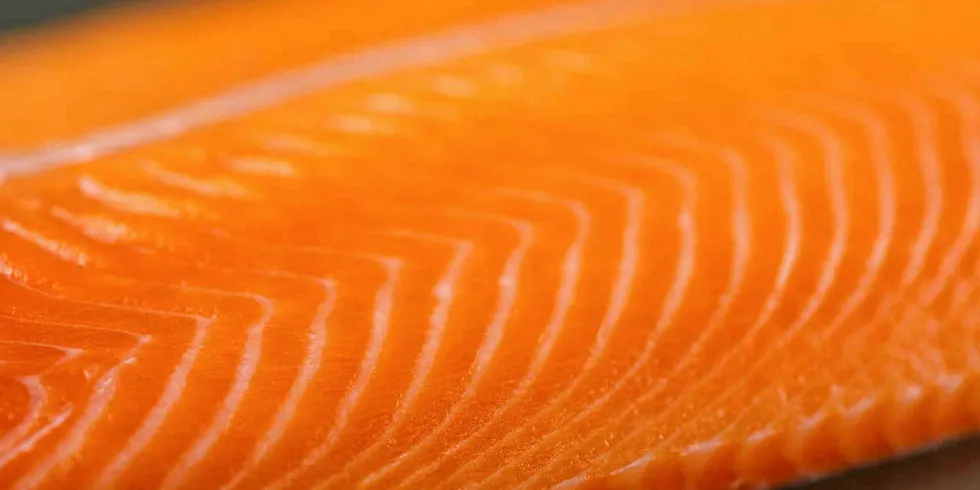 Chilean coho producers have their eyes on the prize of the US market.