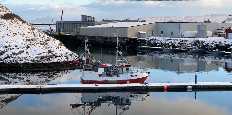 Træna Seafood begjærte seg konkurs tidligere i år. – Dette er tragisk for Trænasamfunnet, sa ordfører Jan Helge Andersen i februar. Men nå skal det forsøkes å blåse nytt liv i mottaket.