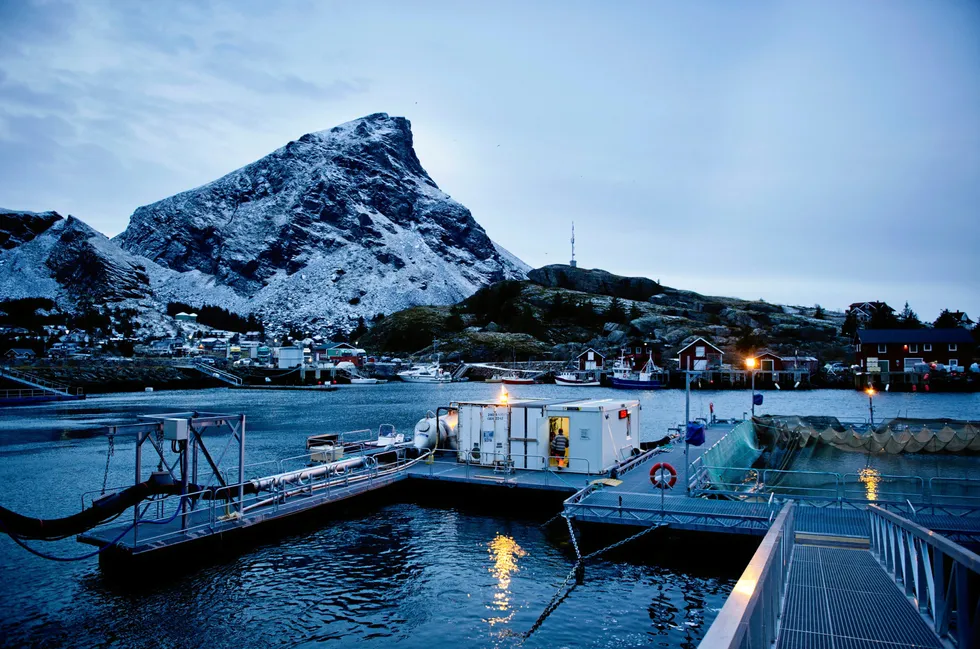 Mærmannen skjekker til fisken mens dagens siste solståler er i ferd med å forsvinne - et sted i nord.