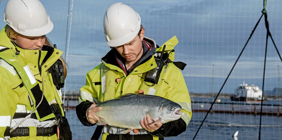 Foto frå drifta til Firda Sjøfarmer.