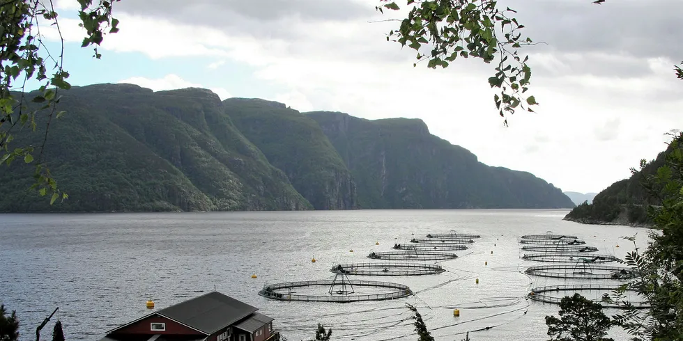 Aquaculture production is expected to continue it's remarkable rise, and volume is projected to reach 109 million metric tons in 2030, with a growth of 37 percent over 2016, said the FAO.