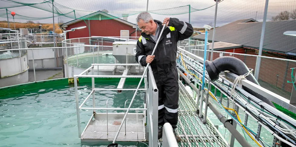 Gründer Mikael Eines og Nekton-konsernet bygget seg opp på settefisk i dette anlegget på Smøla. Han motbeviste skeptikerne som trodde anlegget ikke var mulig.