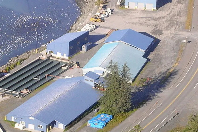 Valdez Fisheries Development Association was formed to raise, propagate, and market fish and fish products in Prince William Sound.