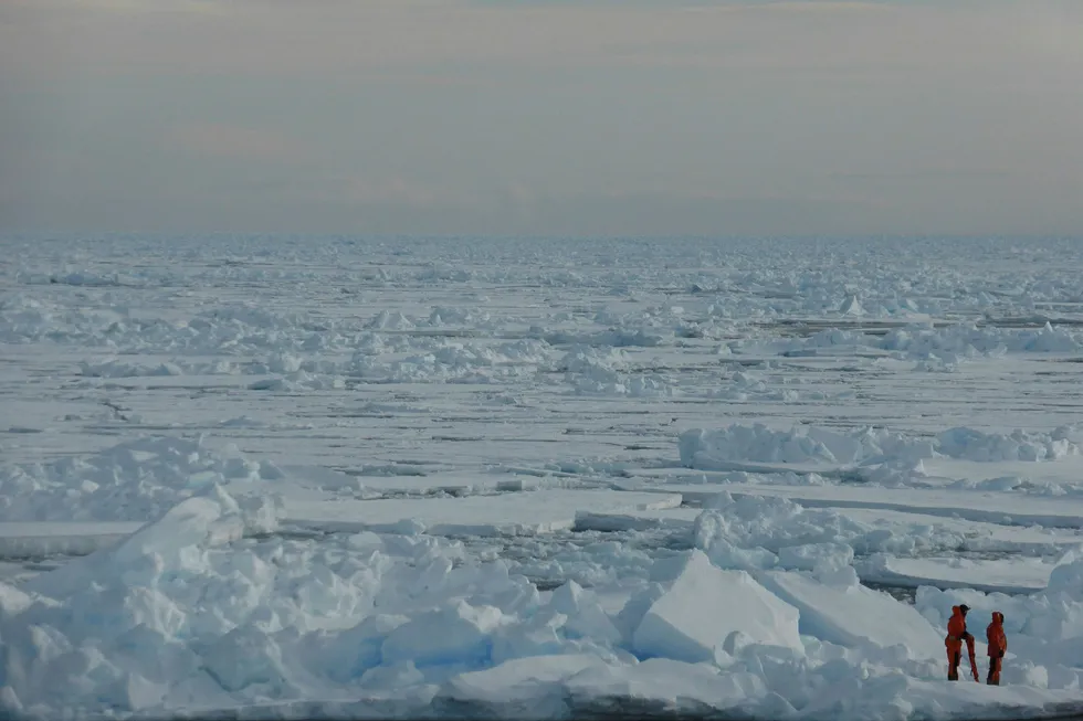 Forskerne har gjort urovekkende og store funn av plast i havisen og havområdene i nord. Foto: Dirk Notz/AP/NTB Scanpix