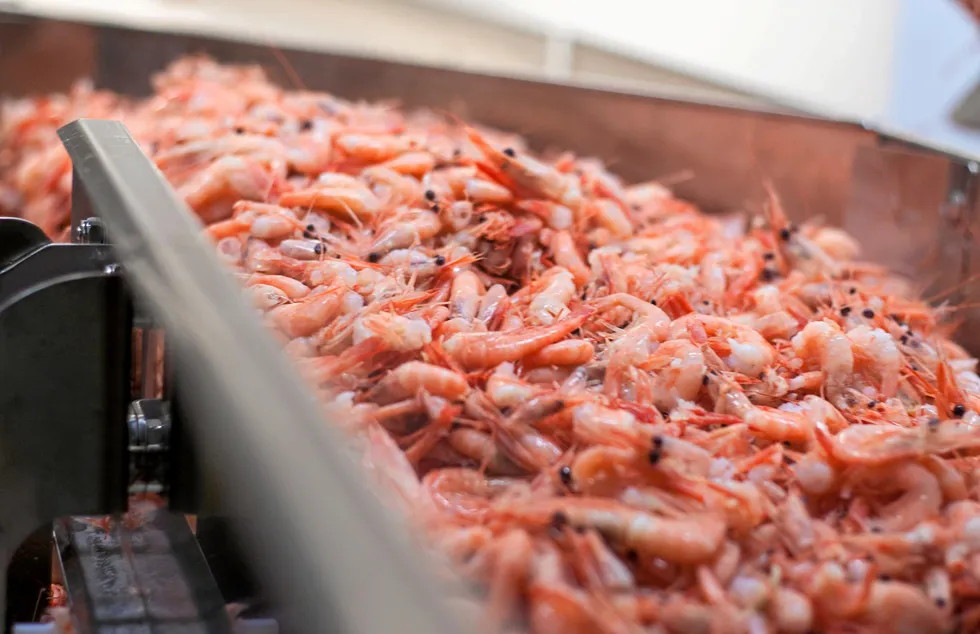 All raw materials processed in Holmadrang's shrimp processing facility are imported, mainly from northern Norway and Canada.
