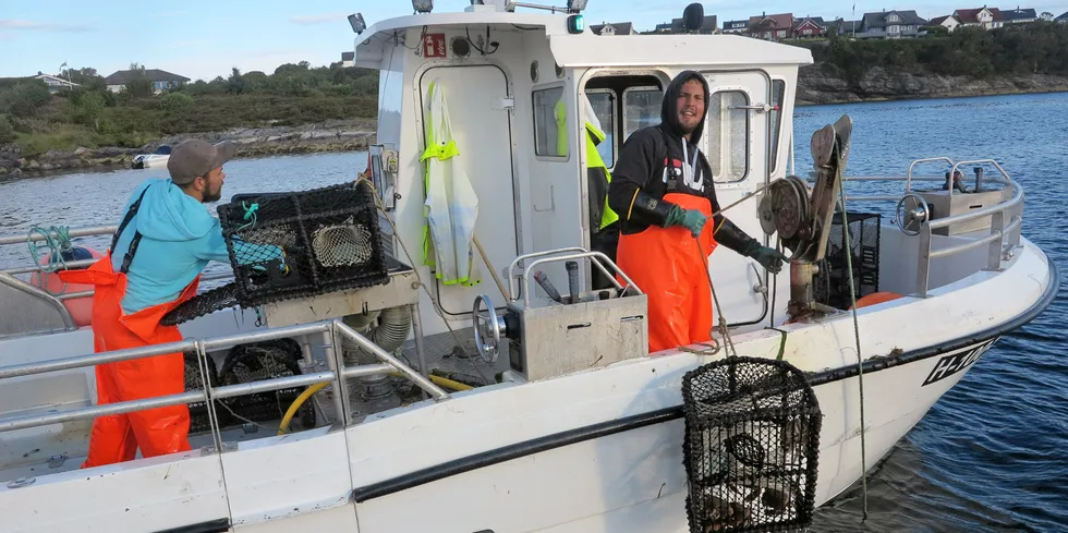 De to fiskerne på «Kanutten» fanger her krabbe som agn til leppefiskteinene.