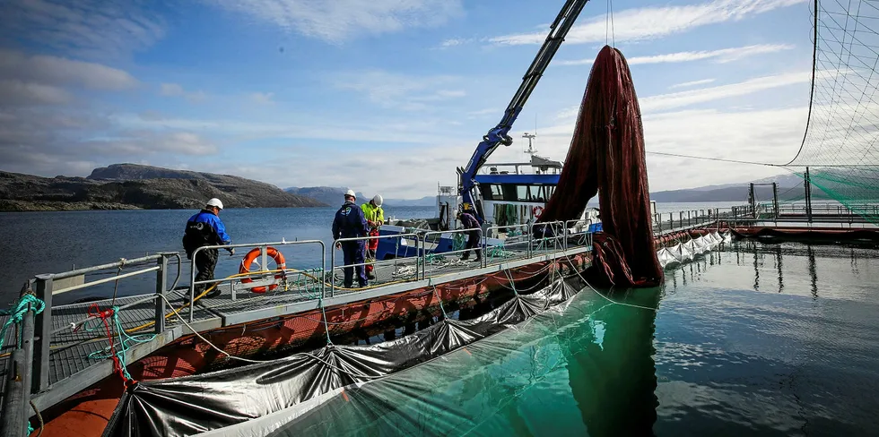 Bilde fra et av oppdrettsanleggene til Sulefisk i Solund.