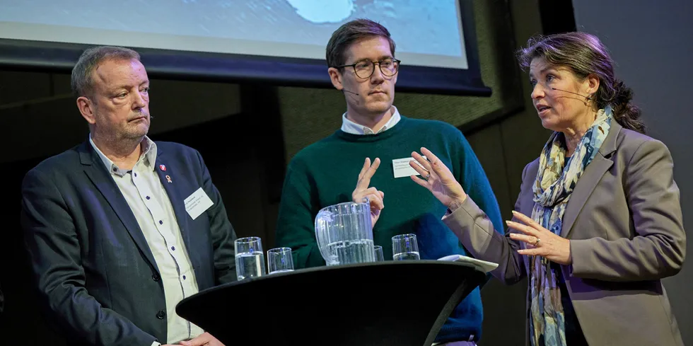 Terje Halleland (FrP), Thor Haakon Bakke (MDG) og Liv Kari Eskeland (H) i debatt.