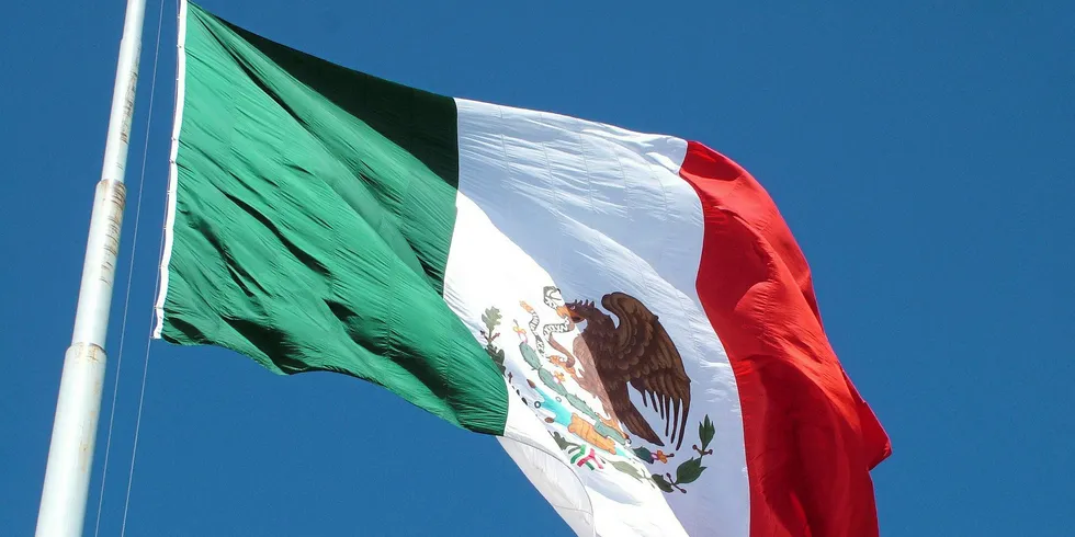 Enel sells 80% of 1.7GW of Mexican renewables in $1.35bn deal
