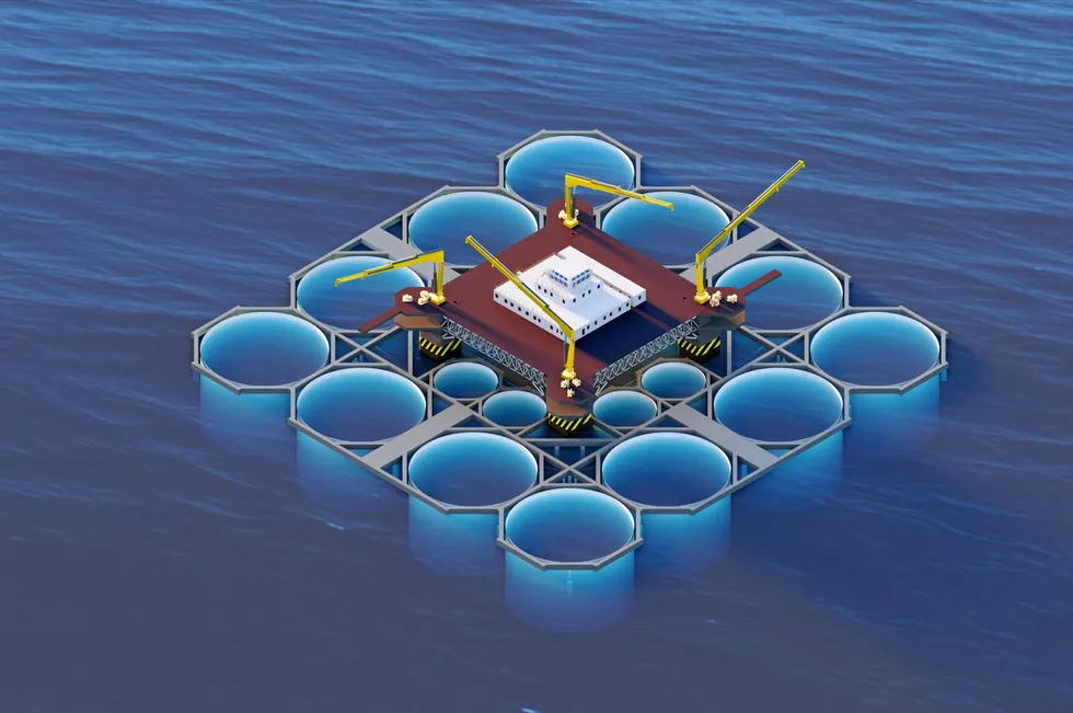 Mariculture Systems pending project focuses on seabass and seabream, but the technology can be adjusted to both smaller and bigger fish including amberjack and tuna. All facilities would share the same initial design including a 50-diameter platform in the middle which is the hub of the project.