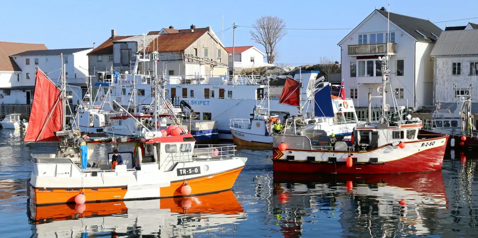 Hele sjarkflåten kommer inn under nye rapporteringsregler. Hvor omfattende reglene skal være, er myndigheter og fiskerorganisasjoner uenige om. Her et glimt fra havna i Henningsvær, med «Odd Ivar» fra Osen og «Carisa» fra Sola i forgrunnen.