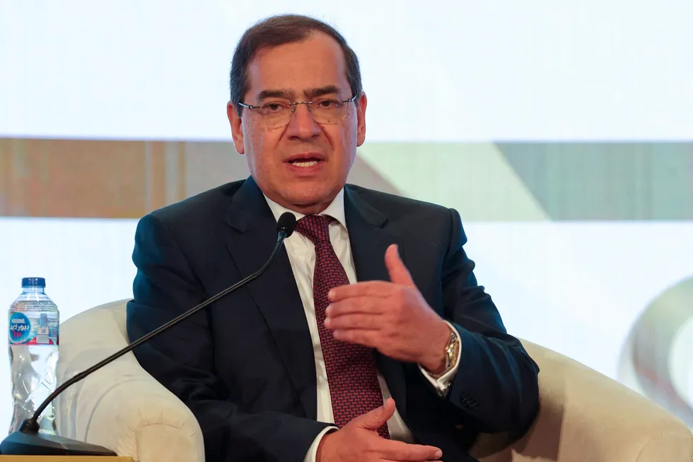Investment: Egypt's Minister of Petroleum and Mineral Resources Tarek El Molla speaking this week in Cairo.