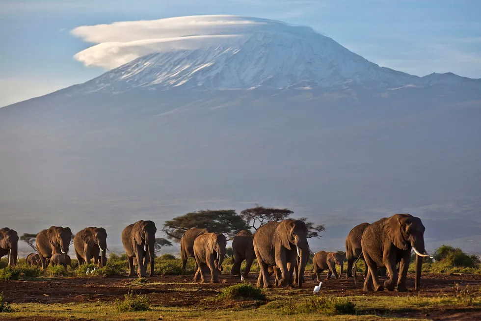 Atle Sigmundstad utviklet akutt høydesyke og døde på turen til Kilimanjaro, Tanzania.