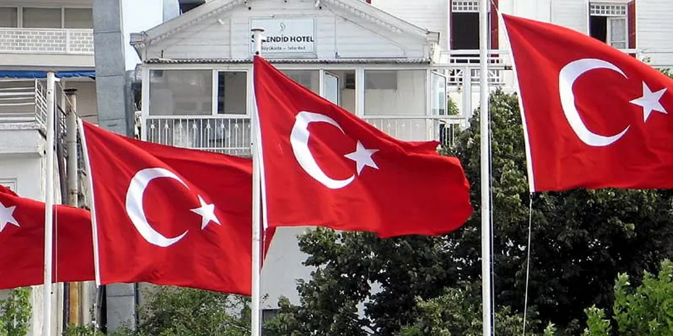 . Turkish flags in Turkey.