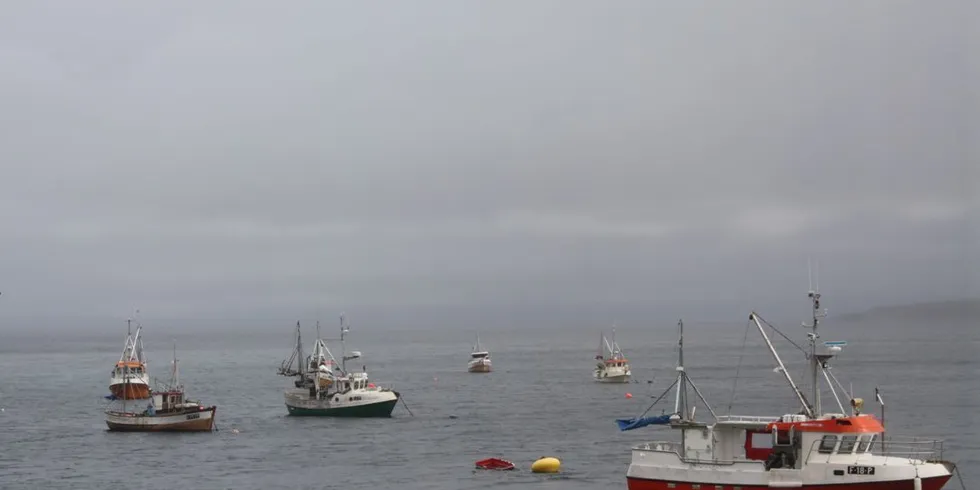 Sjarker i gang med kongekrabben på Porsangerfjorden. Foto: Terje Jensen