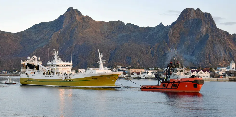 MOT SØR: Her har slepebåten "Stadt Kinn" tatt fatt på slepet sørover med "Teigenes" etter oppholdet hos Skarvik A/S i Osan ved Svolvær.